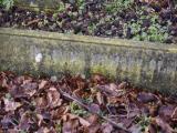 image of grave number 795292
